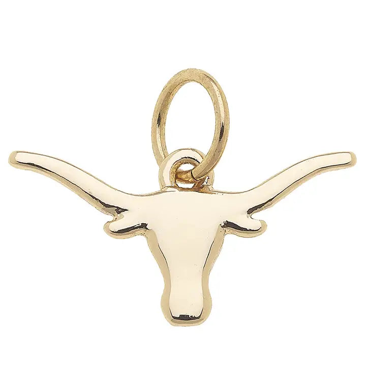 Accessory Charm